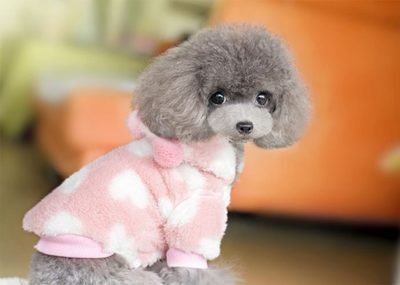 Suplemento Multivitam&iacute;nico Tableta Multifuncional para Gatos y Perros Apoyo Inmunitario Natural y Alivio de Alergias para Perros 2