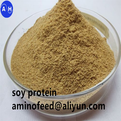 Latest company news about The Role of Crude Protein in Cattle Health and Nutrition