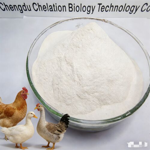 Latest company news about Hierro quelado con proteínas orgánicas 20% | Aditivo alimentario para aves de corral de alta eficiencia